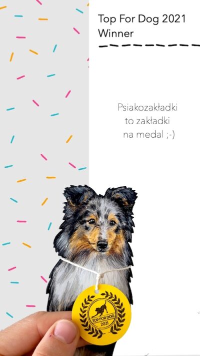 instagram-wyroznione-relacje-TFD2
