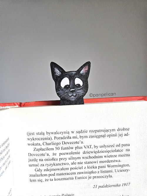 panpelican.pl-zakładka-Bonifacy9-kopia