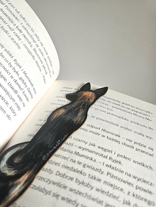 panpelican.pl-zakładka-KIRA-koszykówka10-kopia