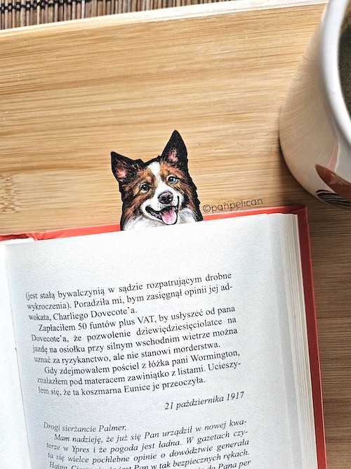 panpelican.pl-zakładka-aussie Buki11-kopia