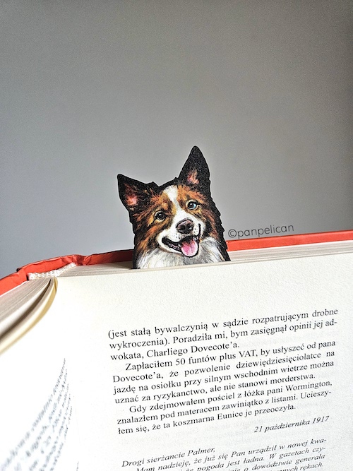 panpelican.pl-zakładka-aussie Buki12-kopia