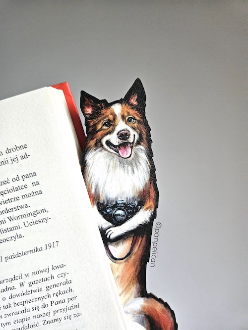 panpelican.pl-zakładka-aussie Buki13-kopia