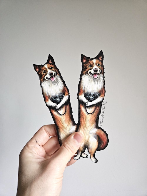 panpelican.pl-zakładka-aussie Buki2-kopia