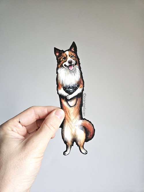 panpelican.pl-zakładka-aussie Buki4-kopia