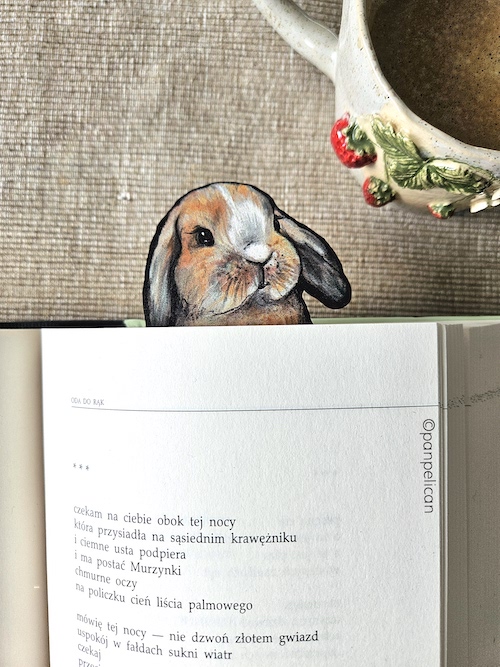 panpelican.pl-zakładka-królik-Vincent12-kopia