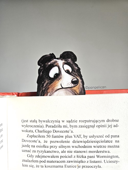 panpelican.pl-zakładka-owczarek-Kiara11-kopia