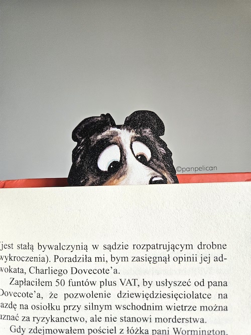 panpelican.pl-zakładka-owczarek-Kiara13-kopia