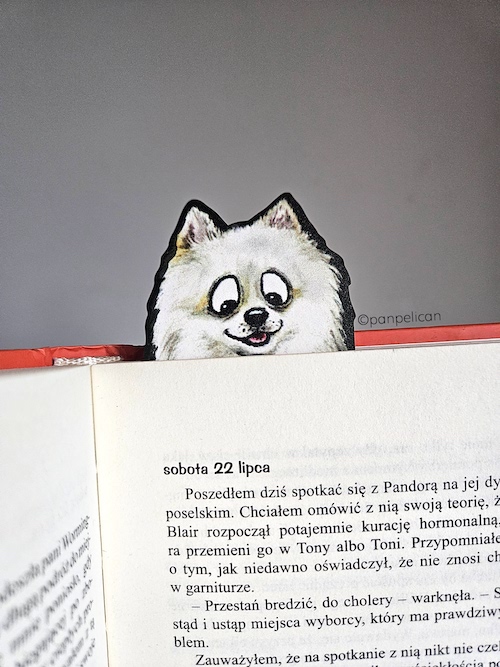 panpelican.pl-zakładka-samojed-Gustaw11-kopia