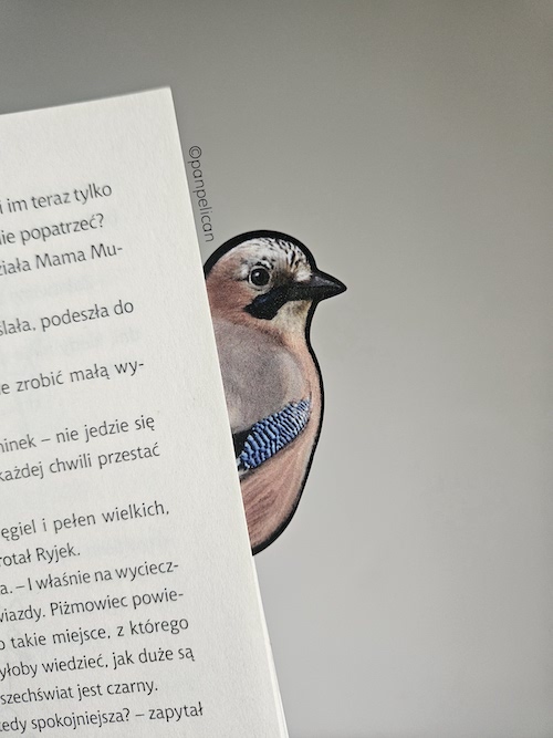 panpelican.pl-zakładka-sójka3-kopia