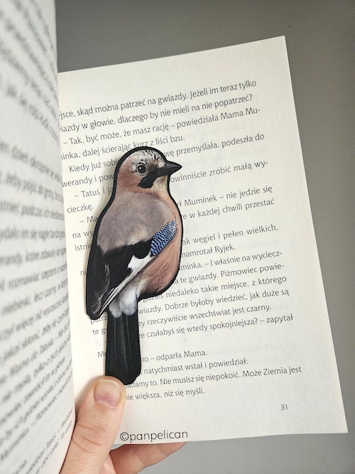 panpelican.pl-zakładka-sójka4-kopia