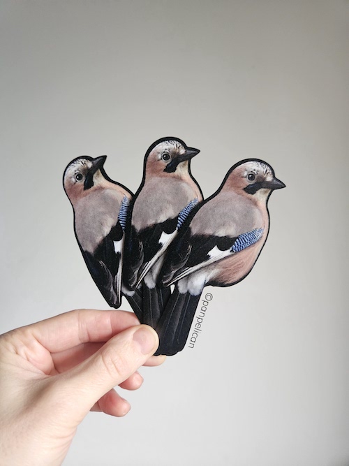 panpelican.pl-zakładka-sójka5-kopia