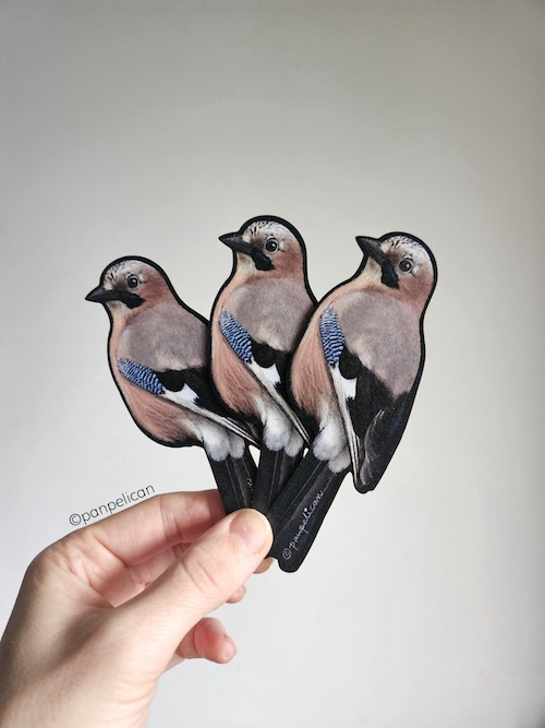 panpelican.pl-zakładka-sójka6-kopia