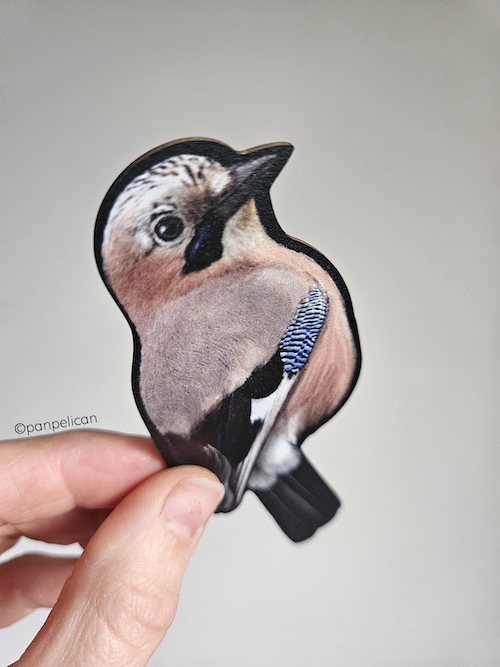 panpelican.pl-zakładka-sójka9-kopia