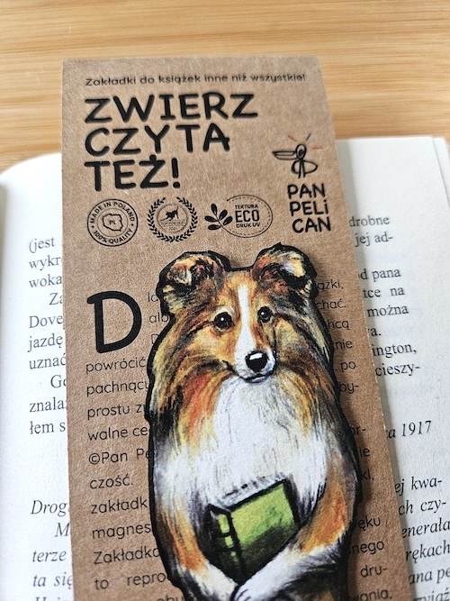 panpelican.pl-zakładka-szetland-Sally-Nowa10-kopia