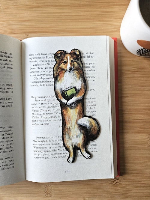 panpelican.pl-zakładka-szetland-Sally-Nowa11-kopia